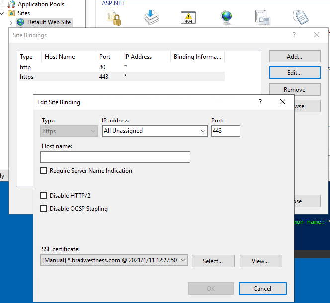 Wildcard Let's Encrypt certificate configured for the default website in IIS