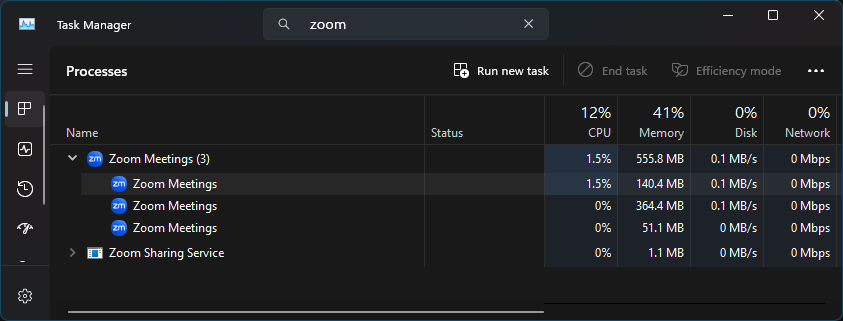 Task Manager showing all processes with 'zoom' in the name when not on a call
