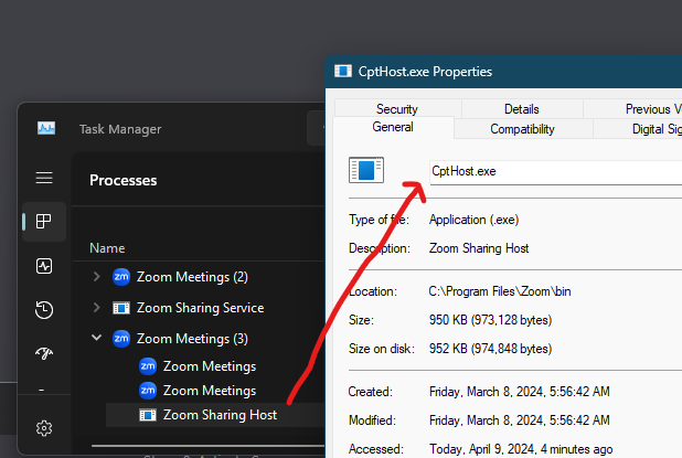 The 'Zoom sharing host' process only launches when a call is active, under an executable called 'cpthost.exe'