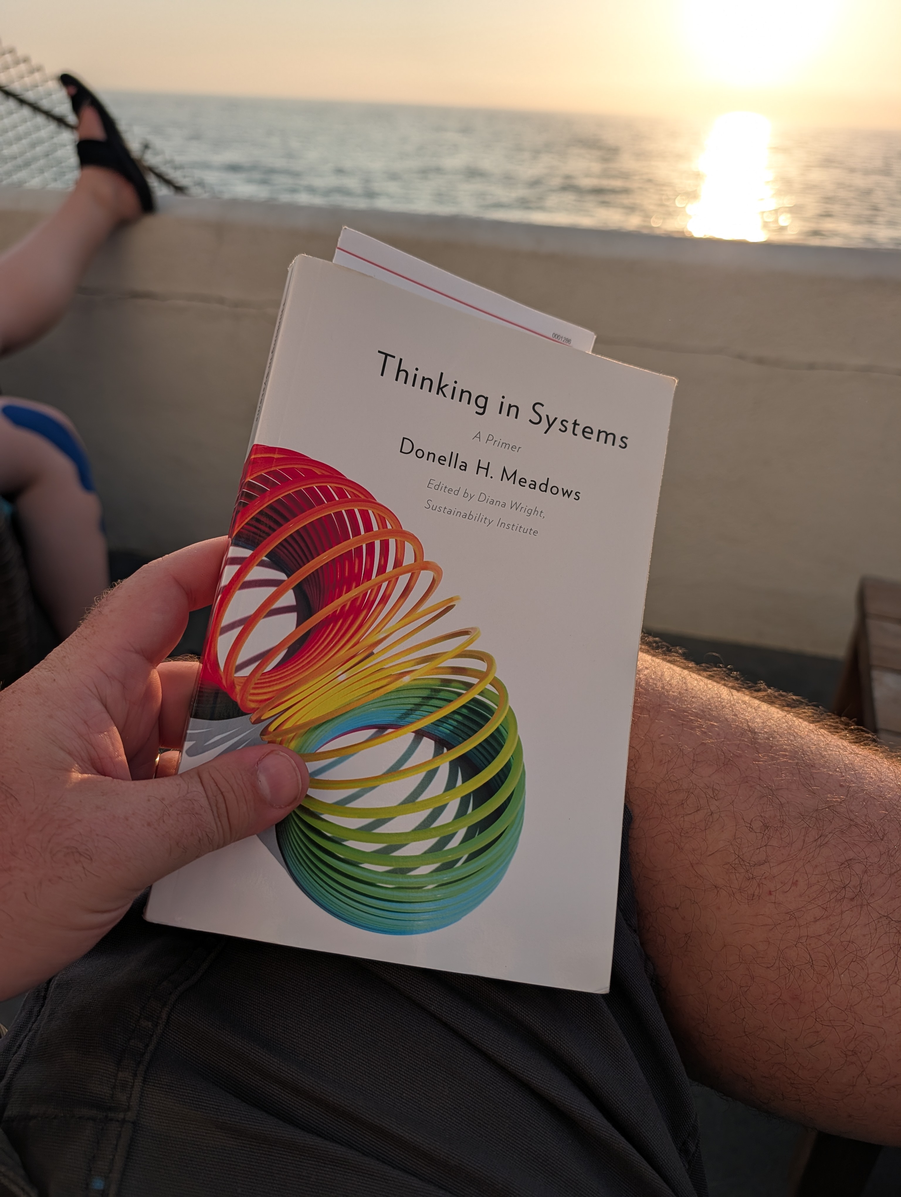 A copy of Donella Meadows' Thinking in Systems held in front of the ocean at sunset.
